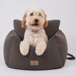 Doodle på 6 kg i en str. M