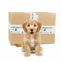 Overrask din hundehvalp og dig selv med Puppy Surprise box