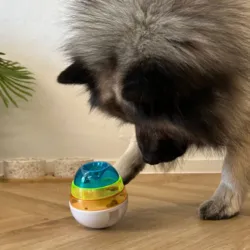 Et aktivitetsæg som kan bruges af alle størrelser hunde