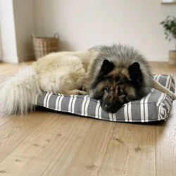 Giv din hund et komfortabelt hvilested på en Ozami Hundemadras