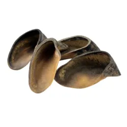 Naturlige buffalo hooves til hund for aktivering og tandpleje