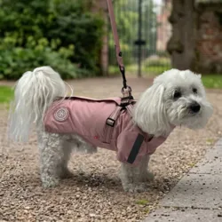 Regnjakke til hunde med integreret sele