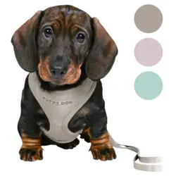Trixie Puppy Dog hvalpesele og line