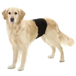 Gentleman Wraps | buks til hanhunde med velcroluk