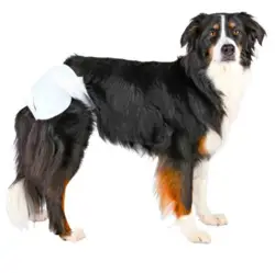 Trixie hundeble | Renlighedstræning