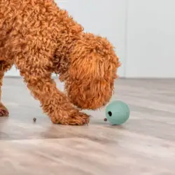Snack Ball fra Trixie