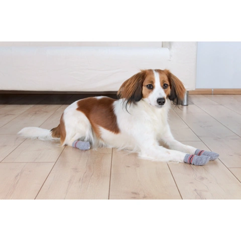 Trixie hundestrømper | 2-pak