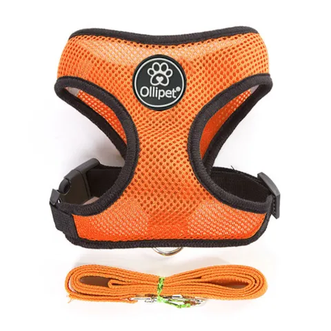 Ollipet sele og line sæt| Mesh | Orange