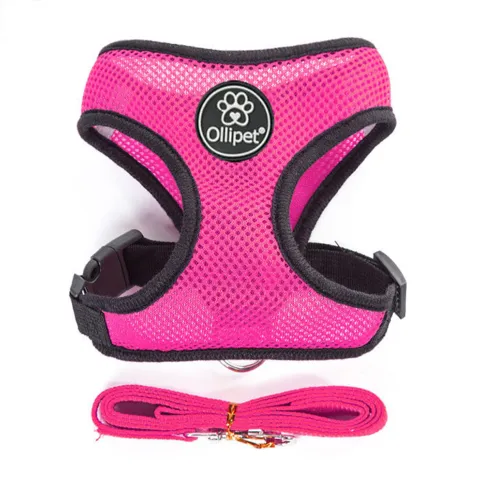 Ollipet sele og line sæt| Mesh | Pink