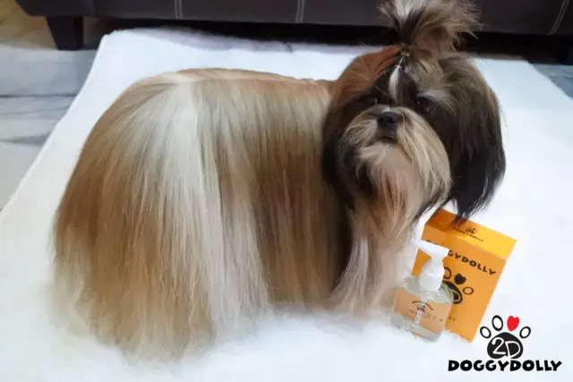 Doggydolly Silk coat | 85 ml