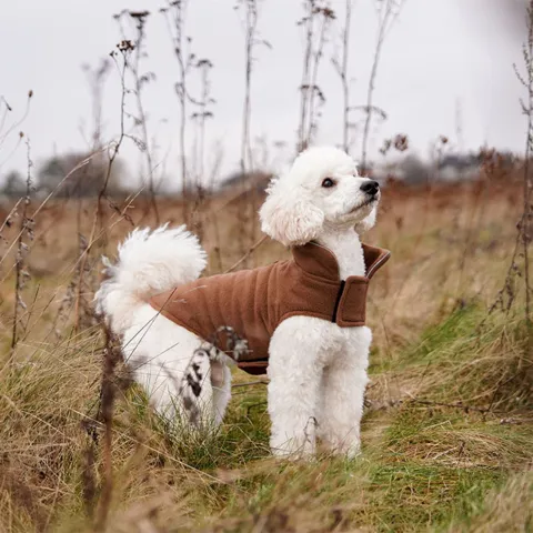 Fleecedækken til hunde