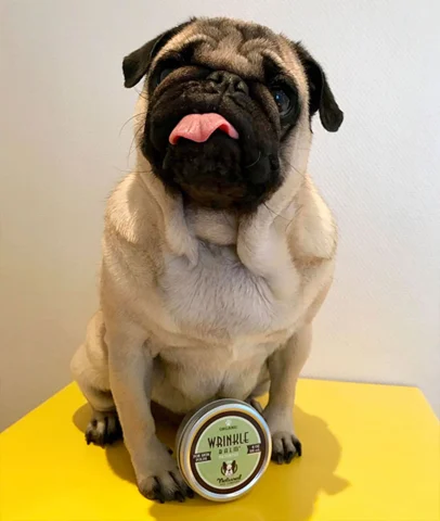 Wrinkle Balm til hudfolder | Natural Dog Company