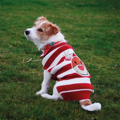 Stribet Julesweater med Rudolf