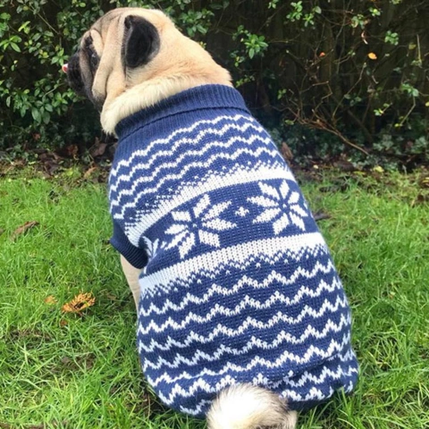 Hundesweater med snefnug