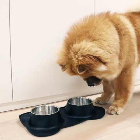 Ollipet Bone Bowls Hundeskåle