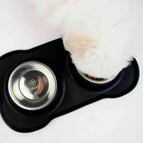 Ollipet Bone Bowls Hundeskåle