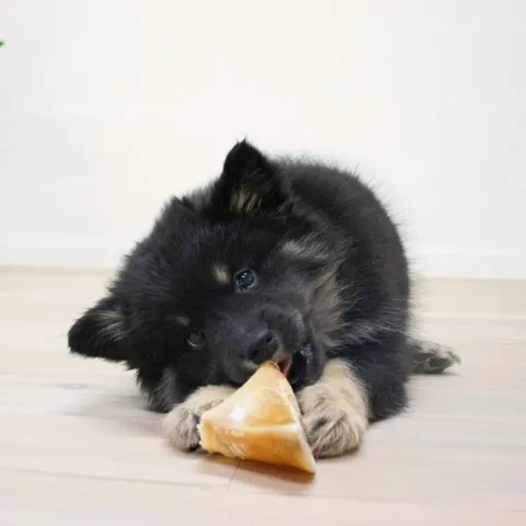 Kalveklove er et lækker ganveben til alle hunde