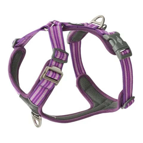 DOG Copenhagen Comfort Walk Air™ selen | Step in