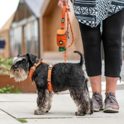 DOG Copenhagen Comfort Walk Air™ selen | Step in