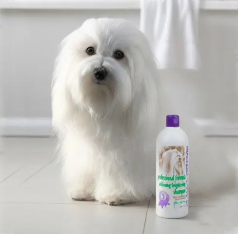 #1 ALL SYSTEMS | Professional Formula Whitening Shampoo | OUTLET