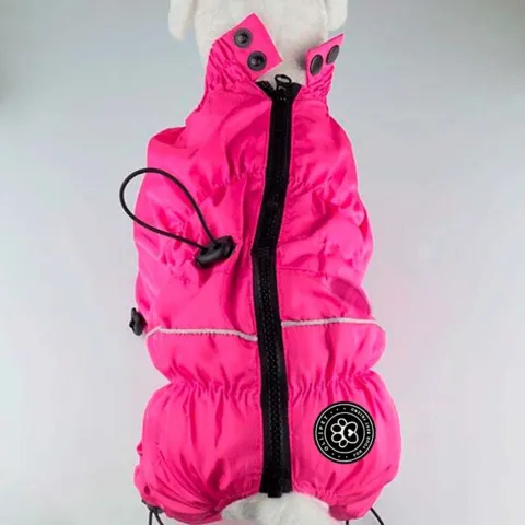 Ollipet regndragt til hunde | Color Collection | OUTLET