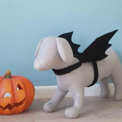 Flagermusvinger til hunde