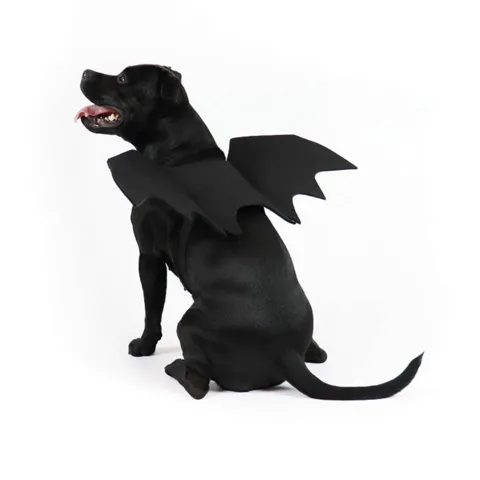 Flagermusvinger til hunde