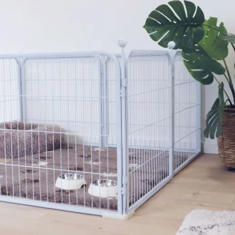 Hvid hvalpegård med stokke I Ollipet |med gulv-beskyttere