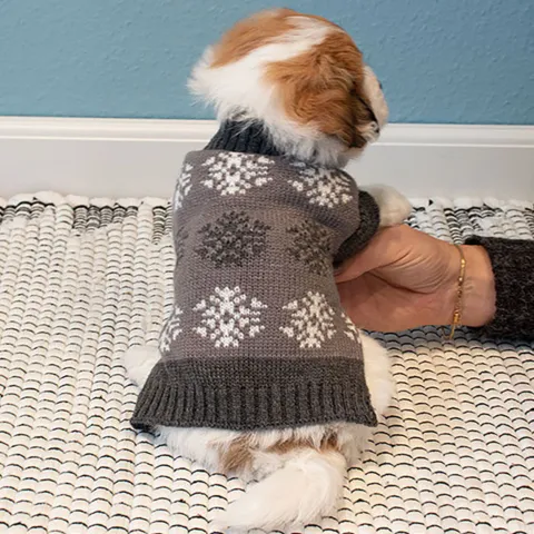 Grå hundesweater med snefnug