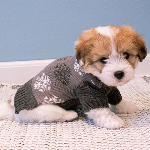 Grå hundesweater med snefnug - Mørke grå model