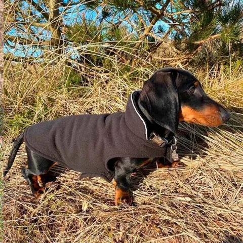 Ollipet Cosy fleecedækken 2i1 | OUTLET