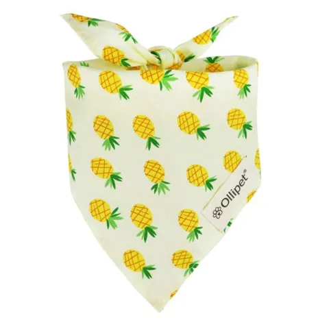 Ollipet Frugt Bandana | OUTLET