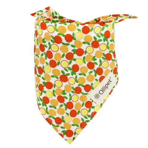 Ollipet Frugt Bandana | OUTLET