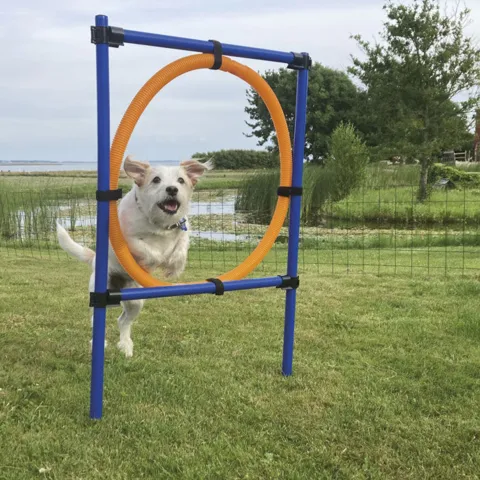 Trixie Agility Ring