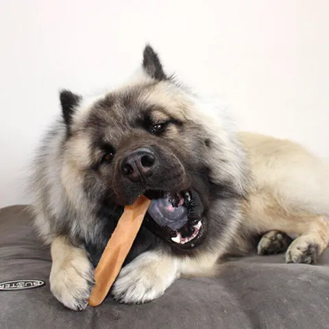 Yaki snacks tyggeben Kenai er en lækker hundesnack