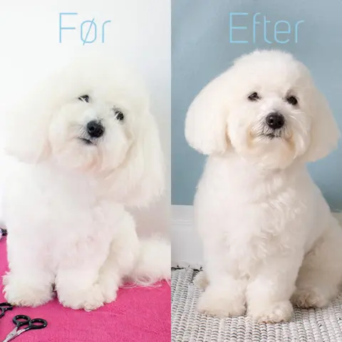 Ollipet Rosella effilersaks no.2 6,5" | Chunker