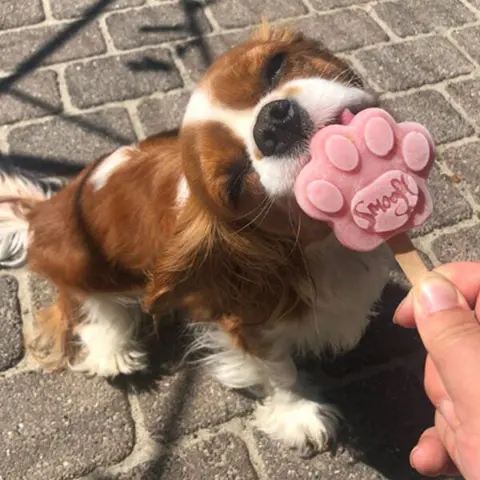 Smoofl Hundeis Poteform