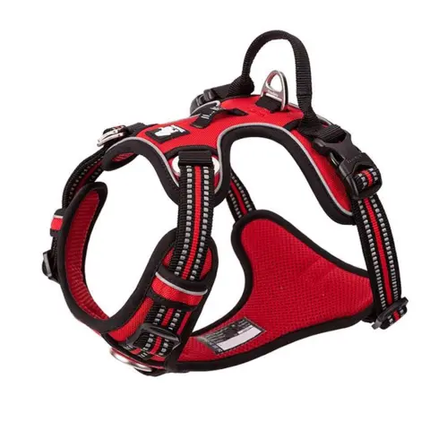 True Love Explosion Proof | Hundesele → Rød