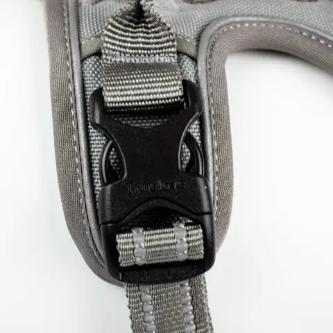 True Love Explosion Proof | Hundesele