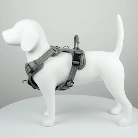 TrueLove Explosion Proof | LUKSUS Hundesele