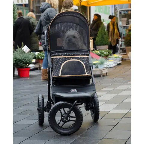 InnoPet Adventure