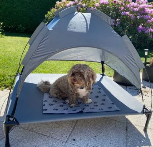 Hundeseng med soltag | Kundebillede