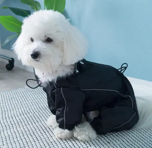 Hunderegndragt fra Kbl → Coton de tulear model