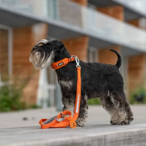 DOG Copenhagen Urban Trail™ Line