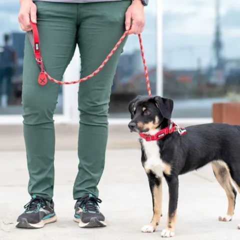DOG Copenhagen Urban Rope Leash