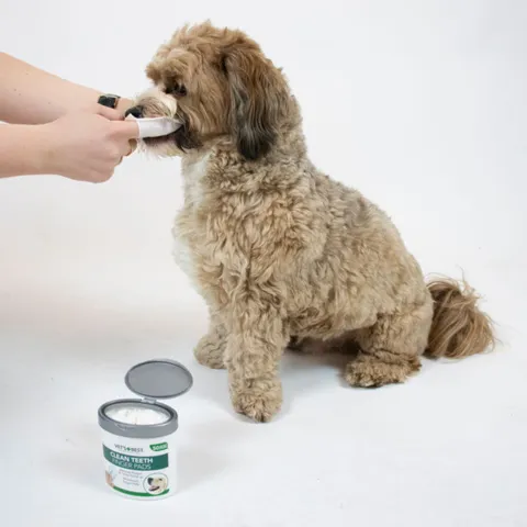 Clean Teeth Finger Pads | Vet's Best
