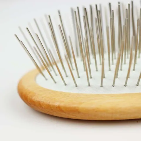 Ollipet Pin Brush |Olieret birketræ