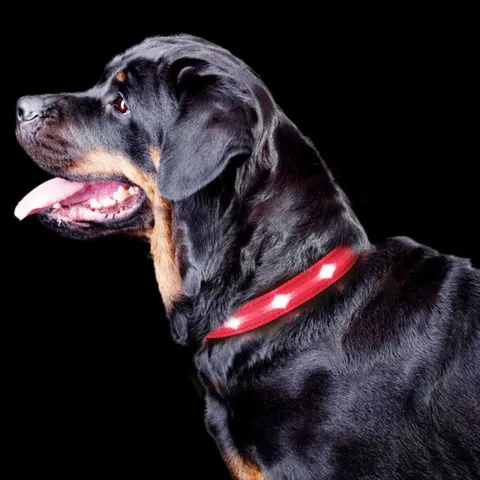 The Dots LED Collar | Halsbånd med LED lys