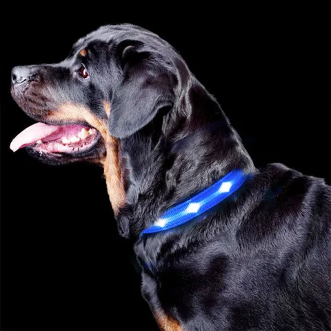 The Dots LED Collar | Halsbånd med LED lys