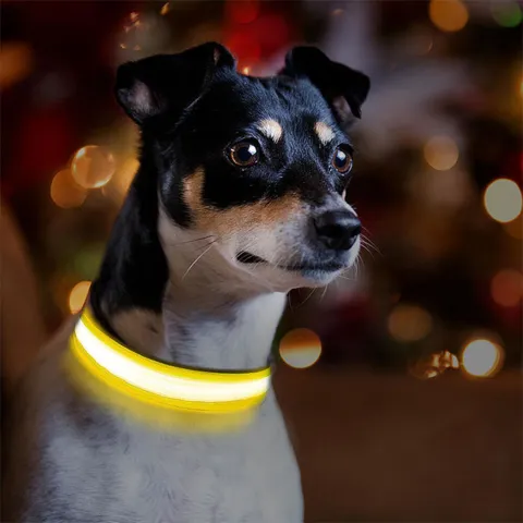 The Stripe Collar - Genopladeligt, lysende halsbånd | Gul